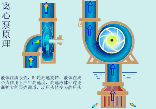 給(gei)水泵、給(ji)水泵別再傻傻分不清楚(內(nèi)含動(dòng)畫(huà))- 給(gei)水泵、給(ji)水泵別再傻傻分不清楚(內(nèi)含動(dòng)畫(huà))-